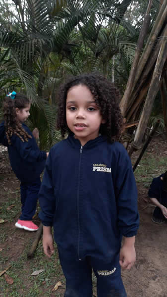 Bicho Mania 2022